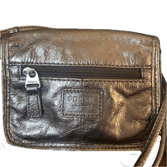 Fossil Champagne Silver Metallic Leather Crossbody Bag Brushed Nickel Pockets EC - Picture 2 of 10
